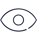 eye-videographer